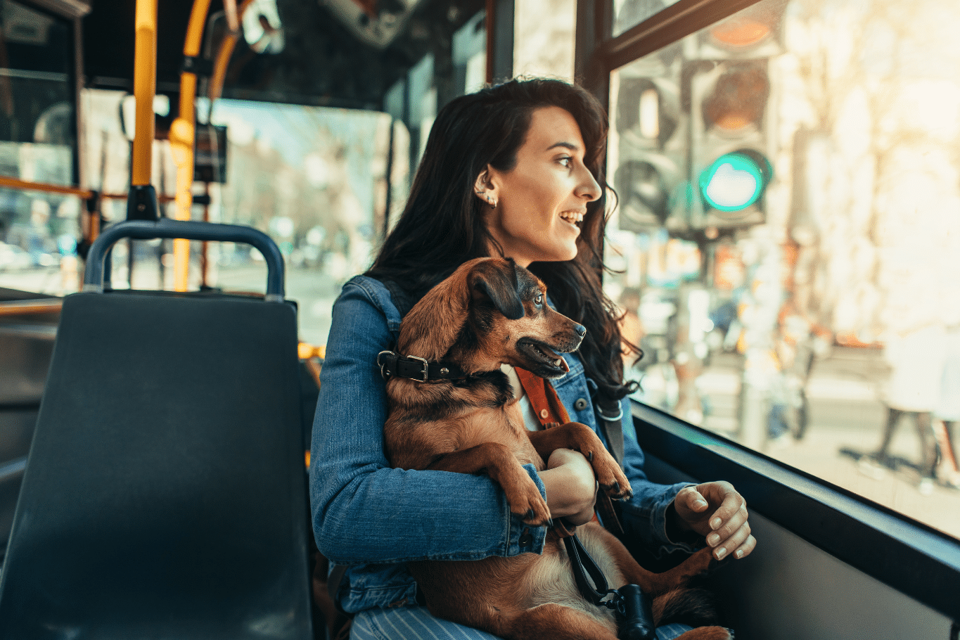 perros transporte publico madrid