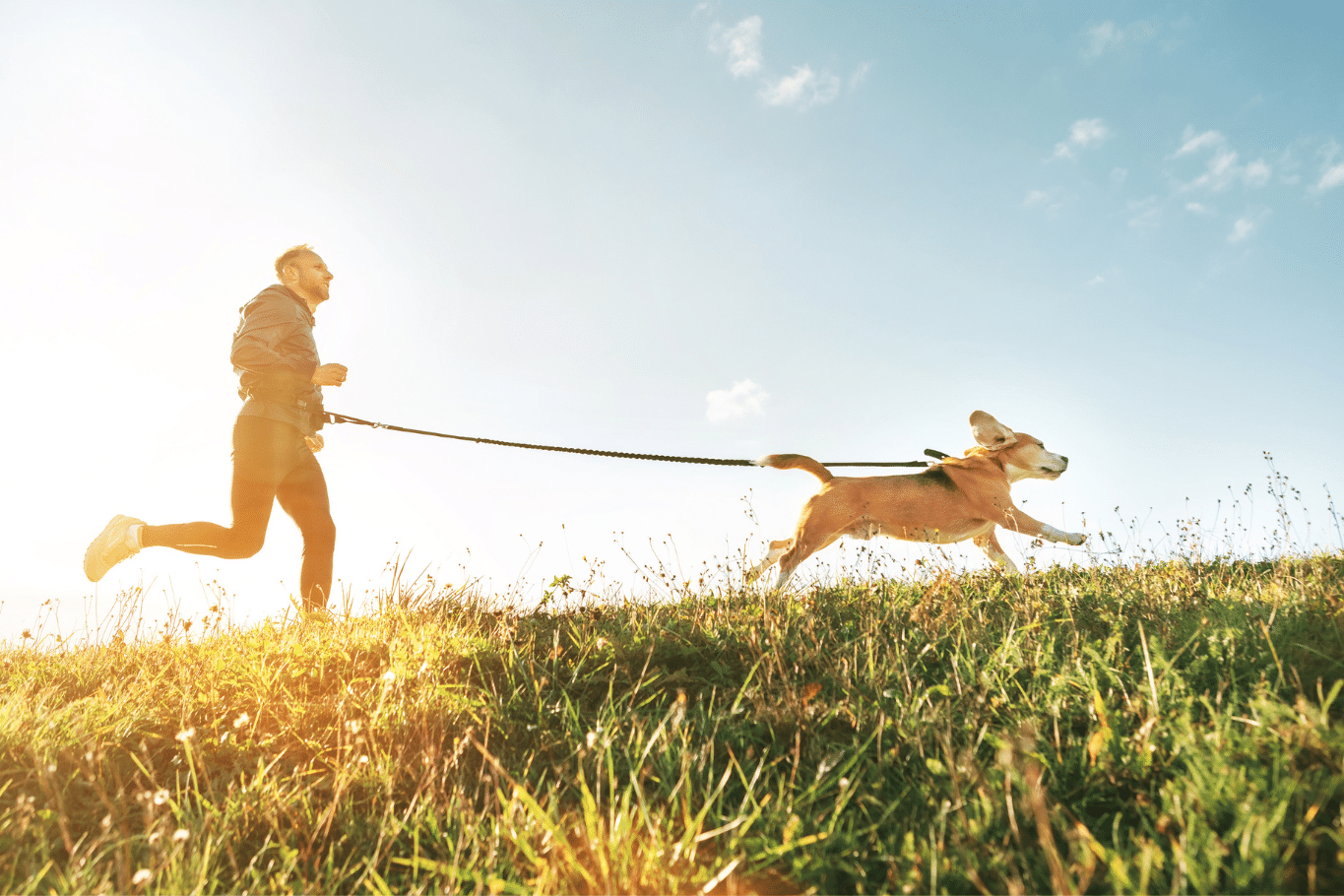 deportes con perros