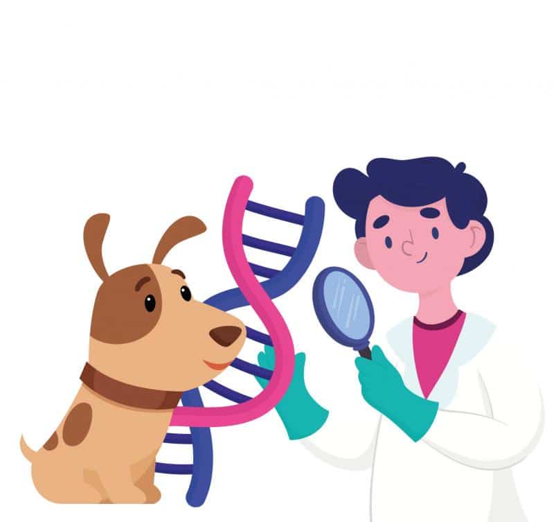 El ADN de los perros registrados en Zaragoza