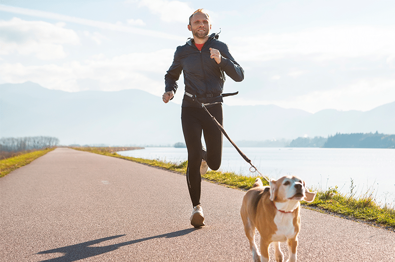 Los mejores deportes para practicar con tu perro