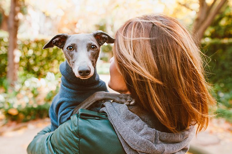 foto de un galgo en brazos de su dueña