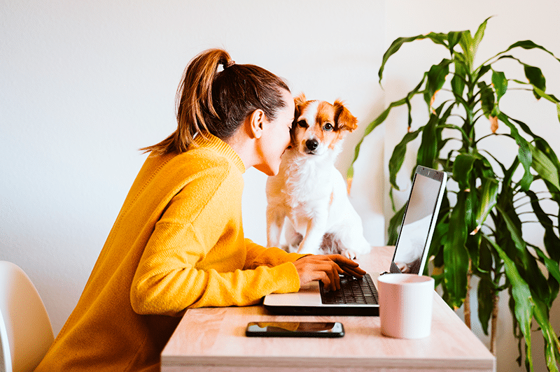 Empresas pet friendly: llegan los permisos para el cuidado de las mascotas