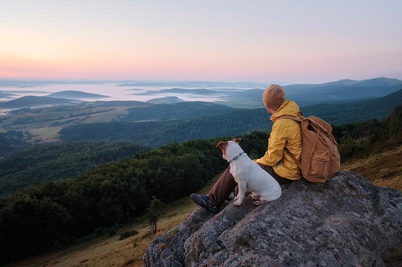 foto de un perro y su dueño de excursión por la sierra de Madrid