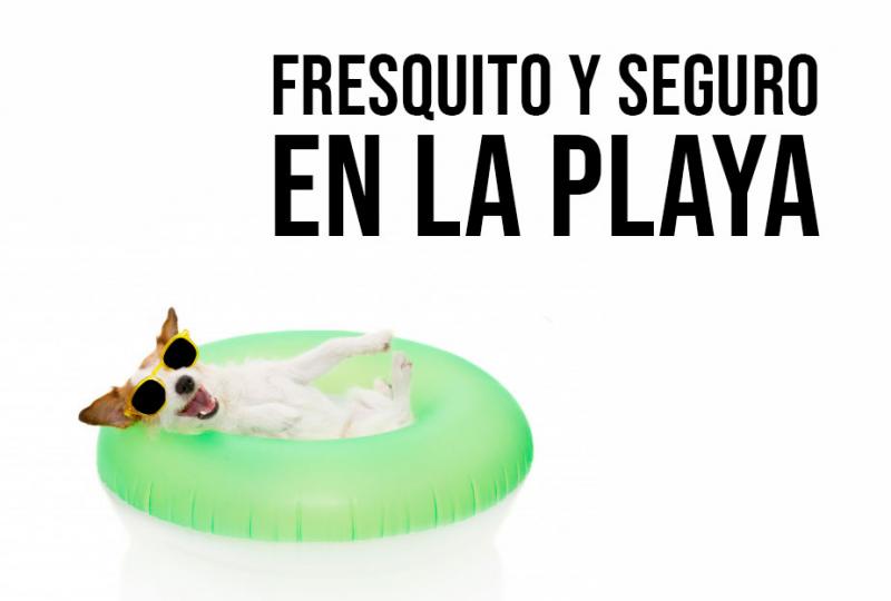 ¿Qué peligros puedes encontrar para tu perro si vais a la playa?