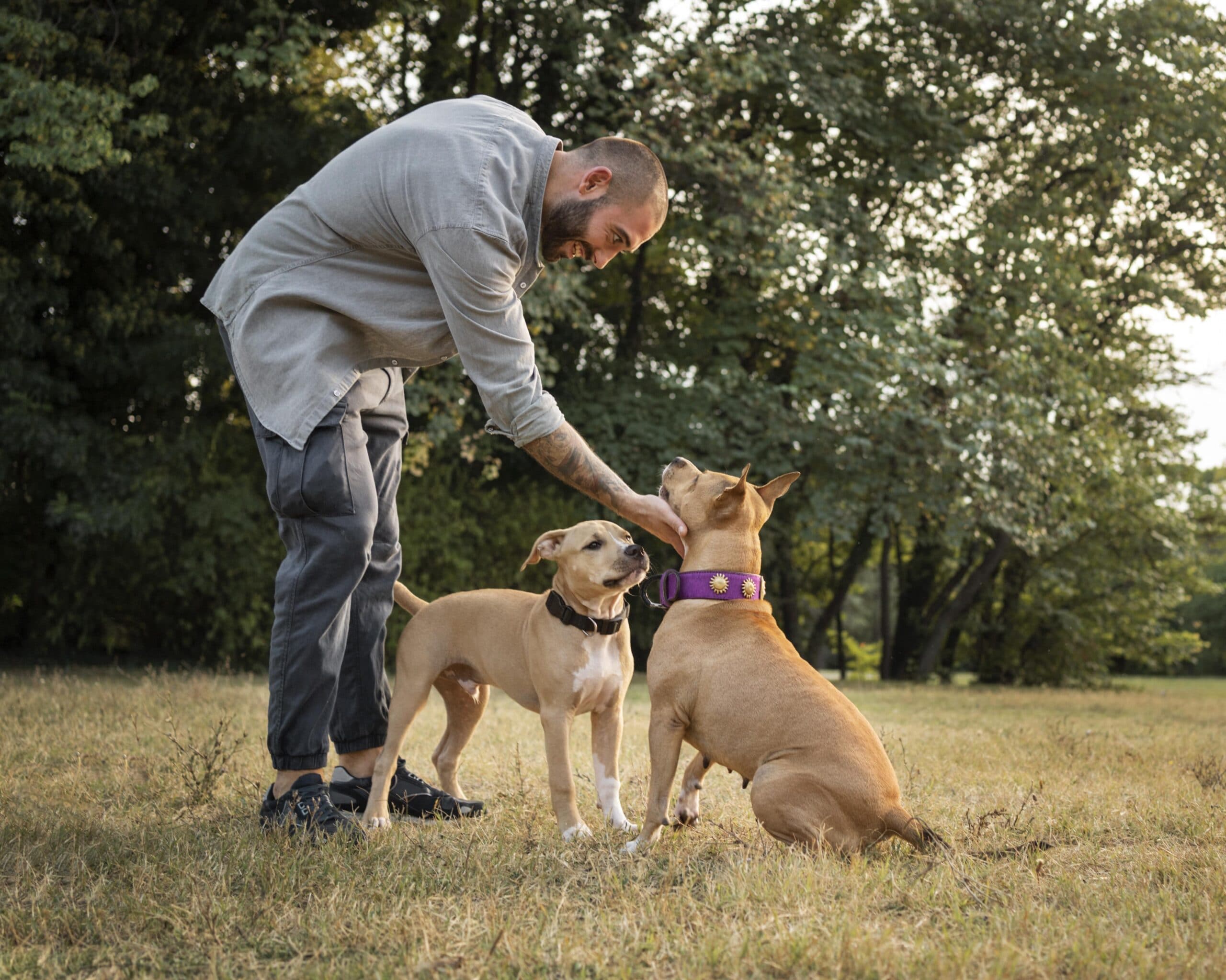 foto de dueño paseando con 2 perros