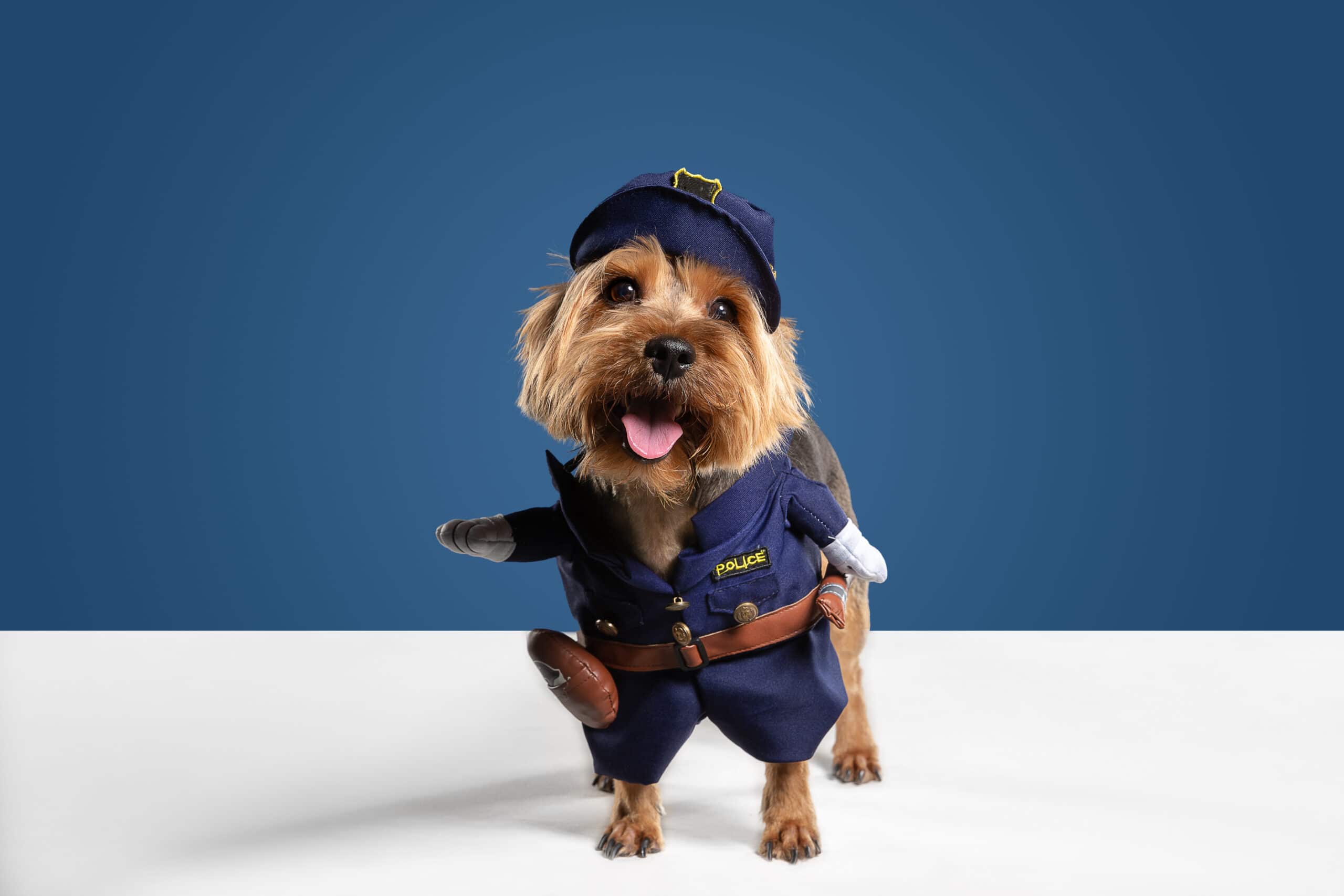 foto de perro disfrazado de policía
