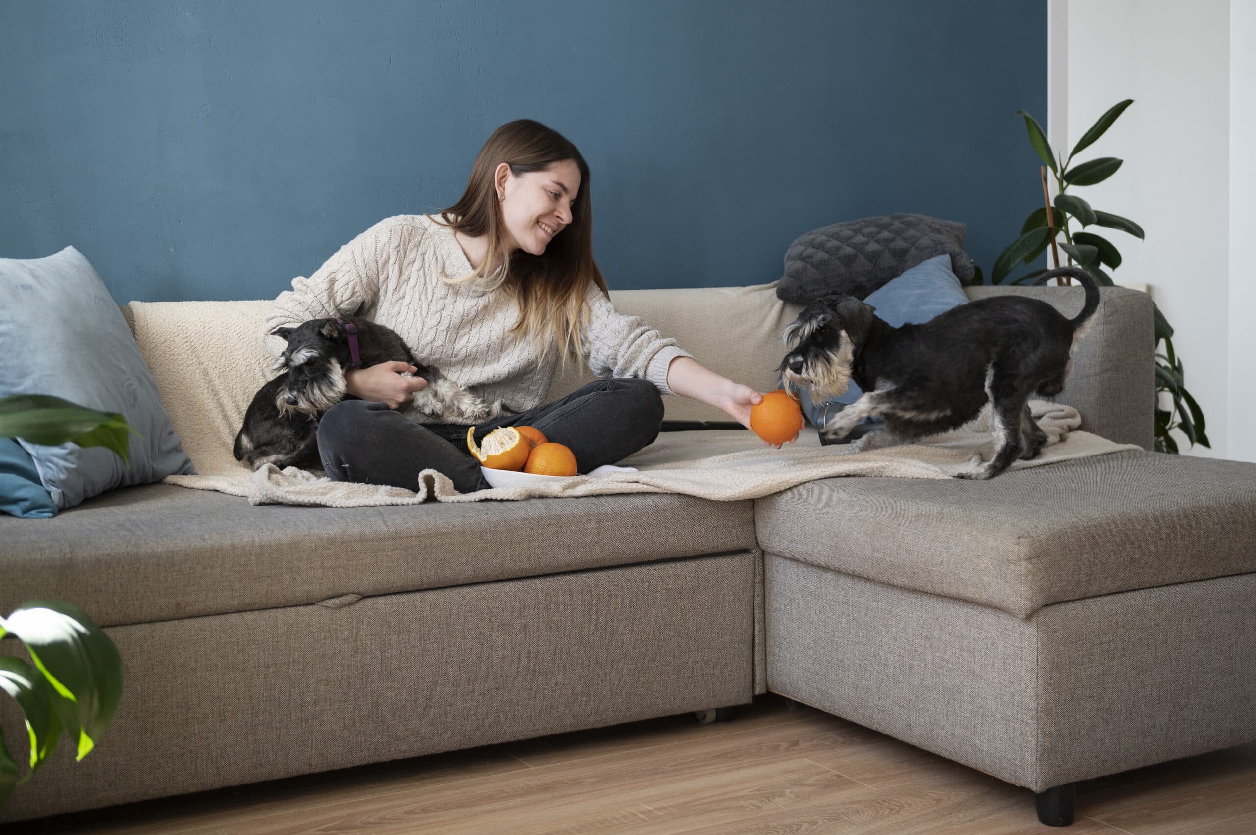 Foto de perro a punto de comer una fruta