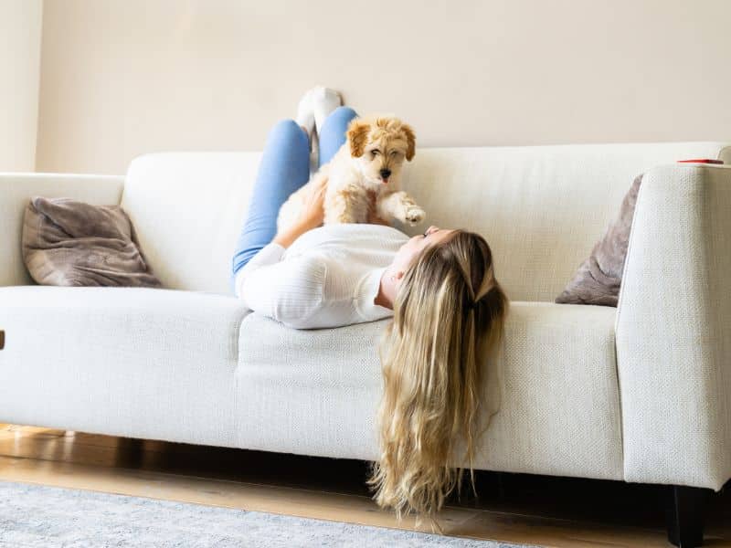 ¿El seguro de hogar incluye al perro o cubre daños por mascotas?