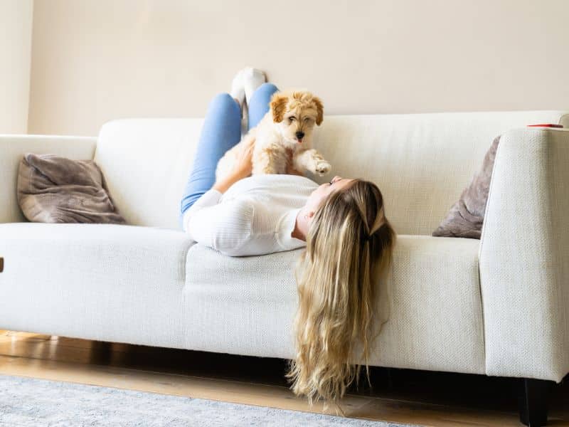 El seguro de hogar incluye al perro