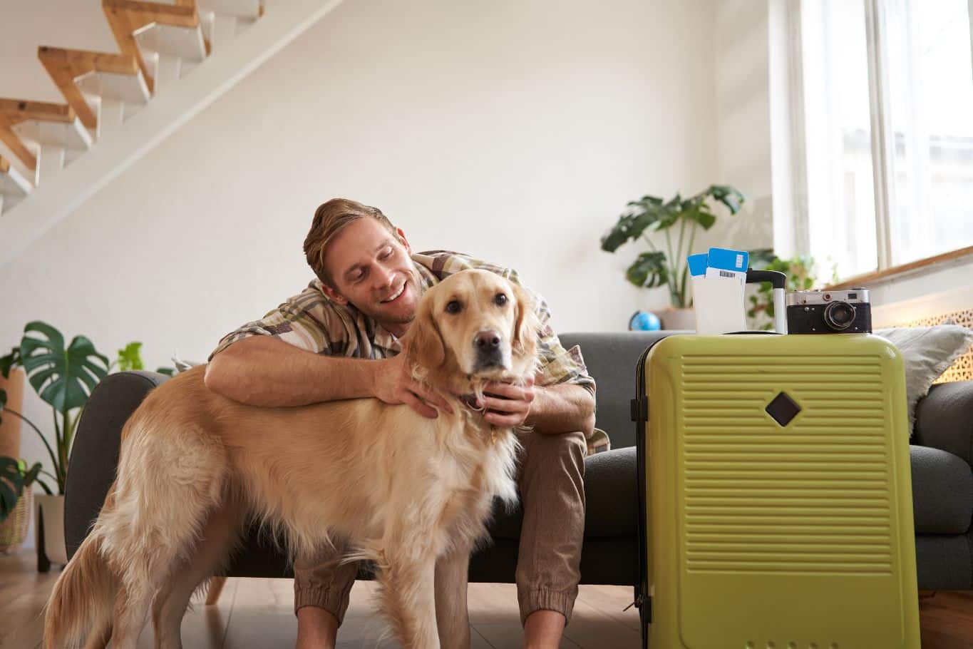 viajar con perros de más de 10 kilos en avion