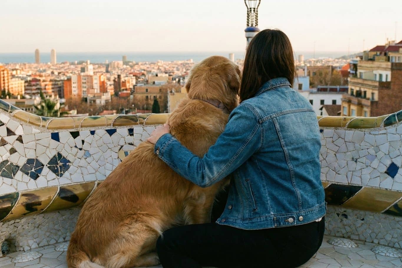 como adoptar un perro en barcelona