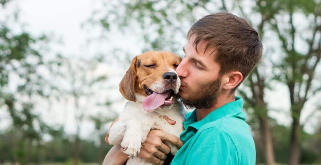 cuanto vale adoptar un perro