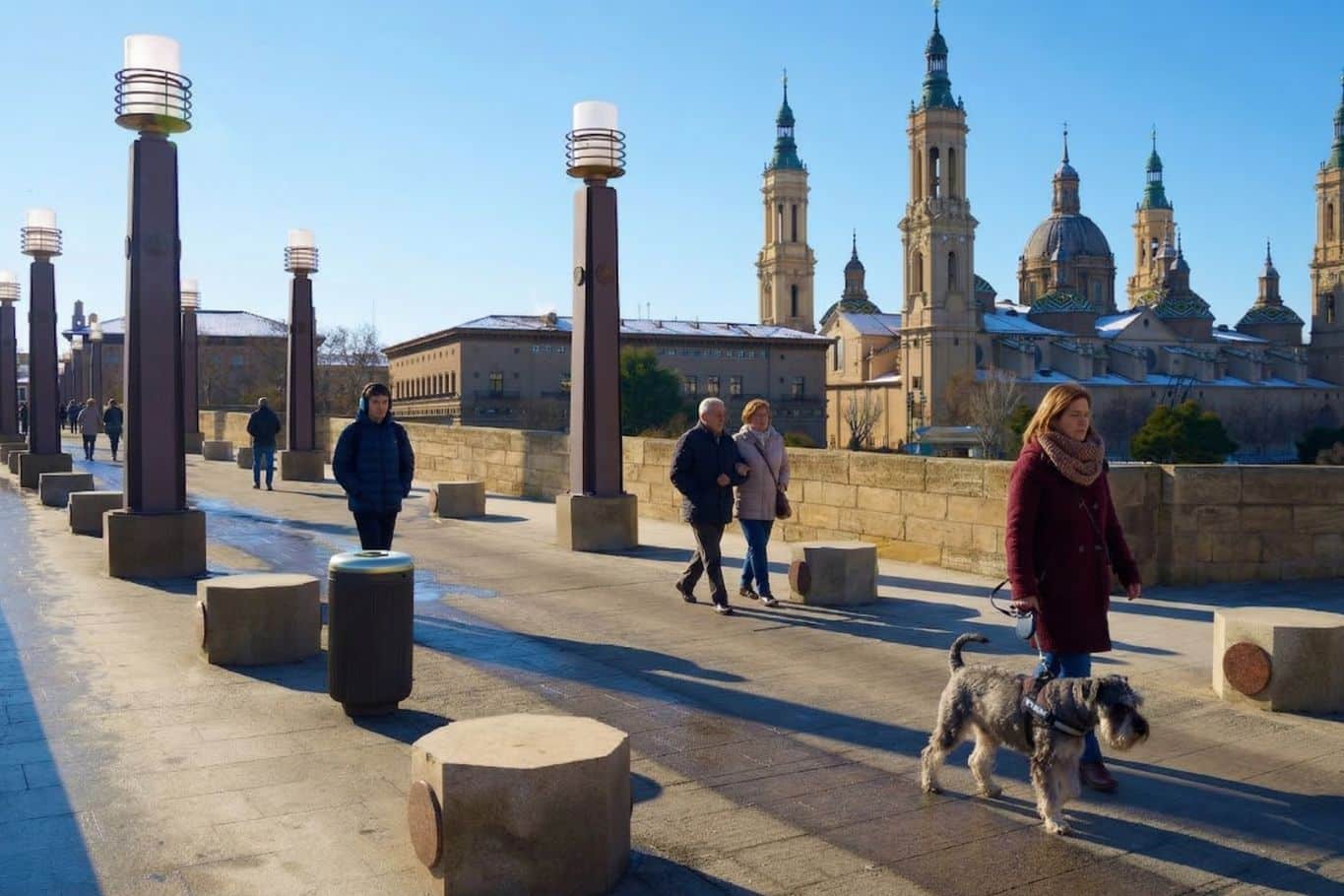 normativa perros zaragoza