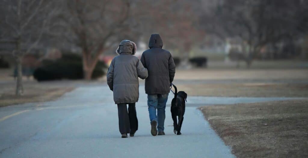 pipican parque grande zaragoza
